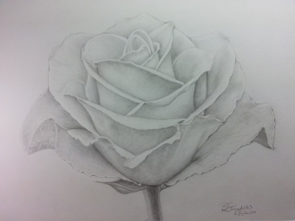M’Lady Wanted a Rose Garden